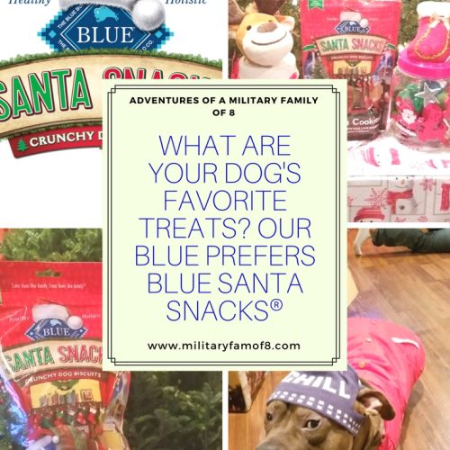 What are your Dog's Favorite Treats? Our Blue Prefers BLUE Santa Snacks®