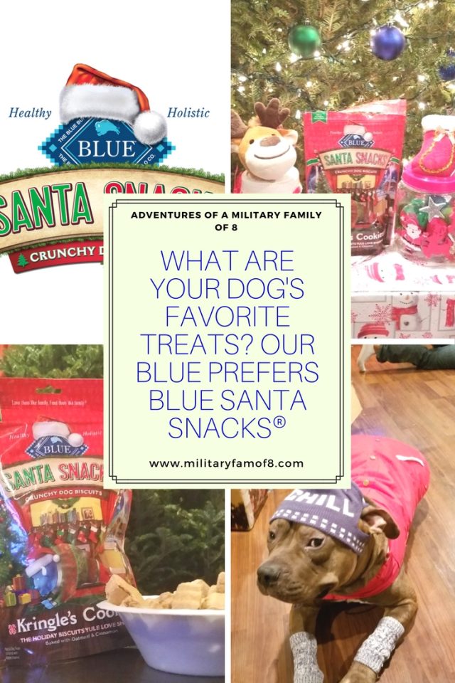 What are your Dog's Favorite Treats? Our Blue Prefers BLUE Santa Snacks®